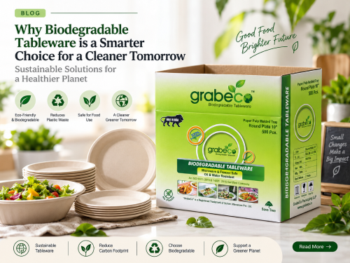 Why Biodegradable Tableware Is a Smarter Choice